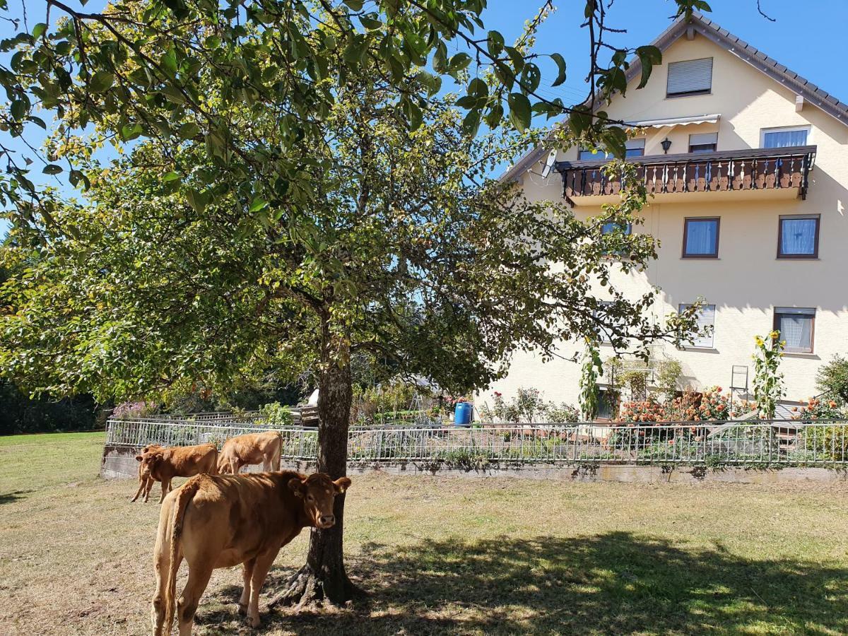 Chickenhill Blackforest, Grosse Ferienwohnung Im Schwarzwald Bad Wildbad Εξωτερικό φωτογραφία